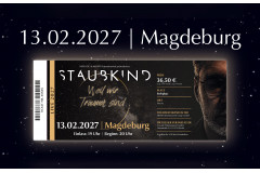 Eintrittskarte Stehplatz Magdeburg